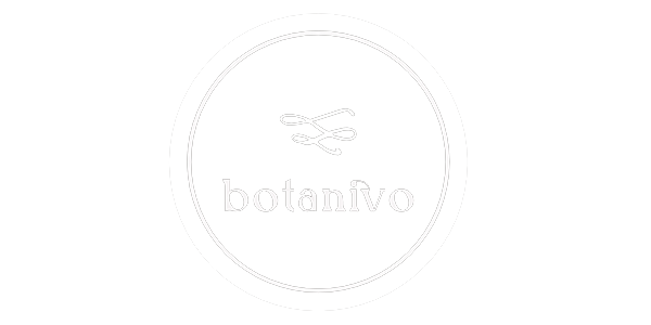 Logo 8